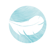 Sven Schmieder | Yoga, Yogareisen und Workshops