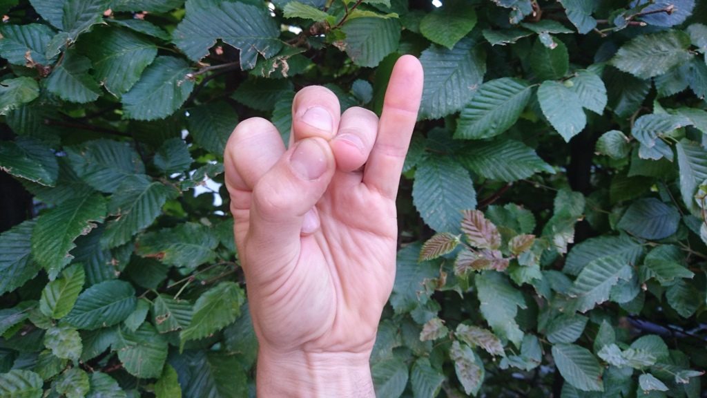 yogaleicht-mudras-mritsanjivni