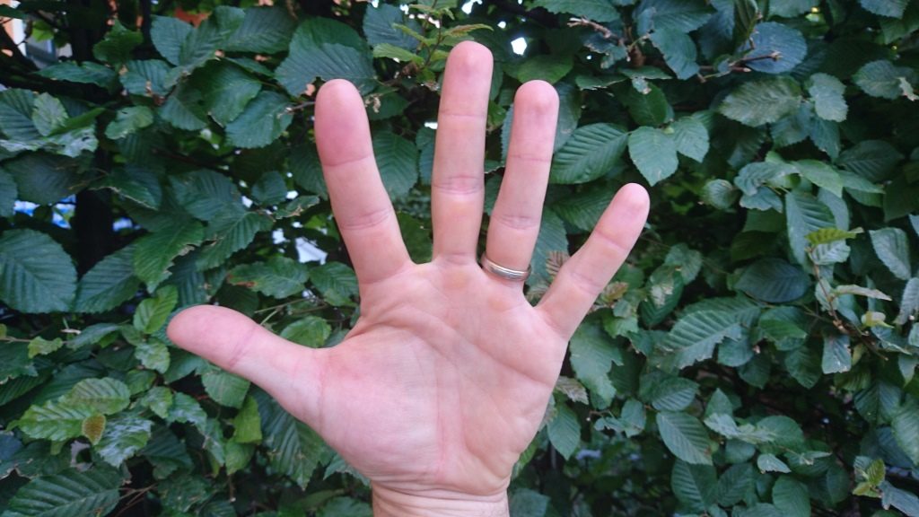 yogaleicht-mudras-finger-und-element