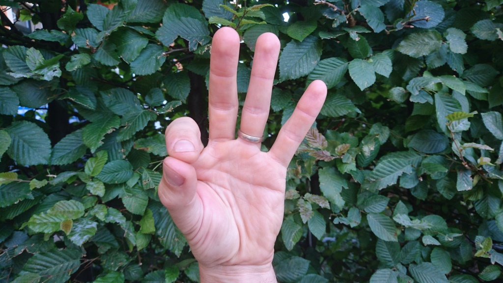 yogaleicht-mudras-gyan yogaleicht-mudras-gyan