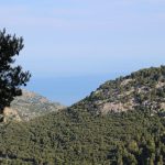 yogaleicht-mallorca-einblicke03