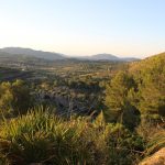 yogaleicht-mallorca-einblicke09