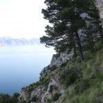 yogaleicht-mallorca-einblicke12