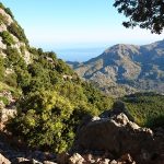 yogaleicht-mallorca-einblicke14