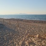 yogaleicht-mallorca-einblicke16