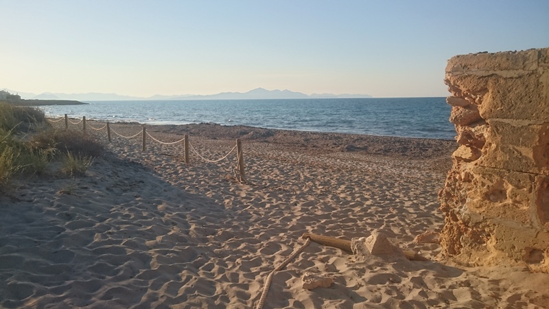 yogaleicht-mallorca-einblicke16 yogaleicht-mallorca-einblicke16