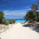 yogaleicht-mallorca-einblicke18