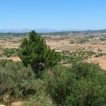 yogaleicht-mallorca-einblicke22