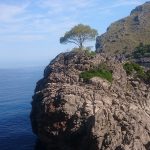 yogaleicht-mallorca-einblicke23