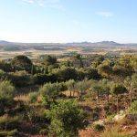 yogaleicht-mallorca-einblicke28