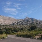 yogaleicht-mallorca-einblicke30
