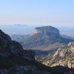 yogaleicht-mallorca-einblicke31