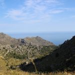 yogaleicht-mallorca-einblicke33